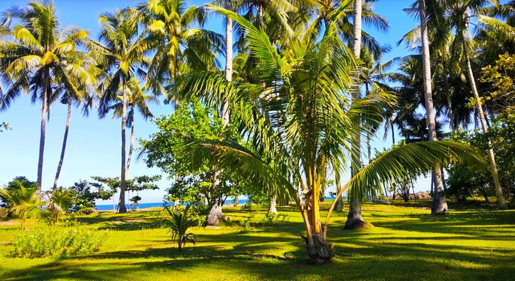 Somewhere Else Boutique Resort Mambajao Exterior foto